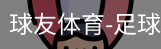 球友体育